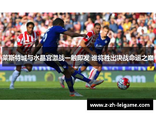 莱斯特城与水晶宫激战一触即发 谁将胜出决战命运之巅 莱斯特城与水晶宫激战一触即发 谁将胜出决战命运之巅